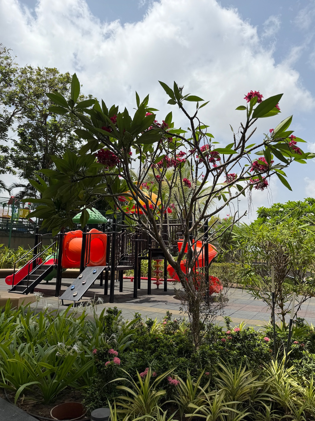 Garden pathway